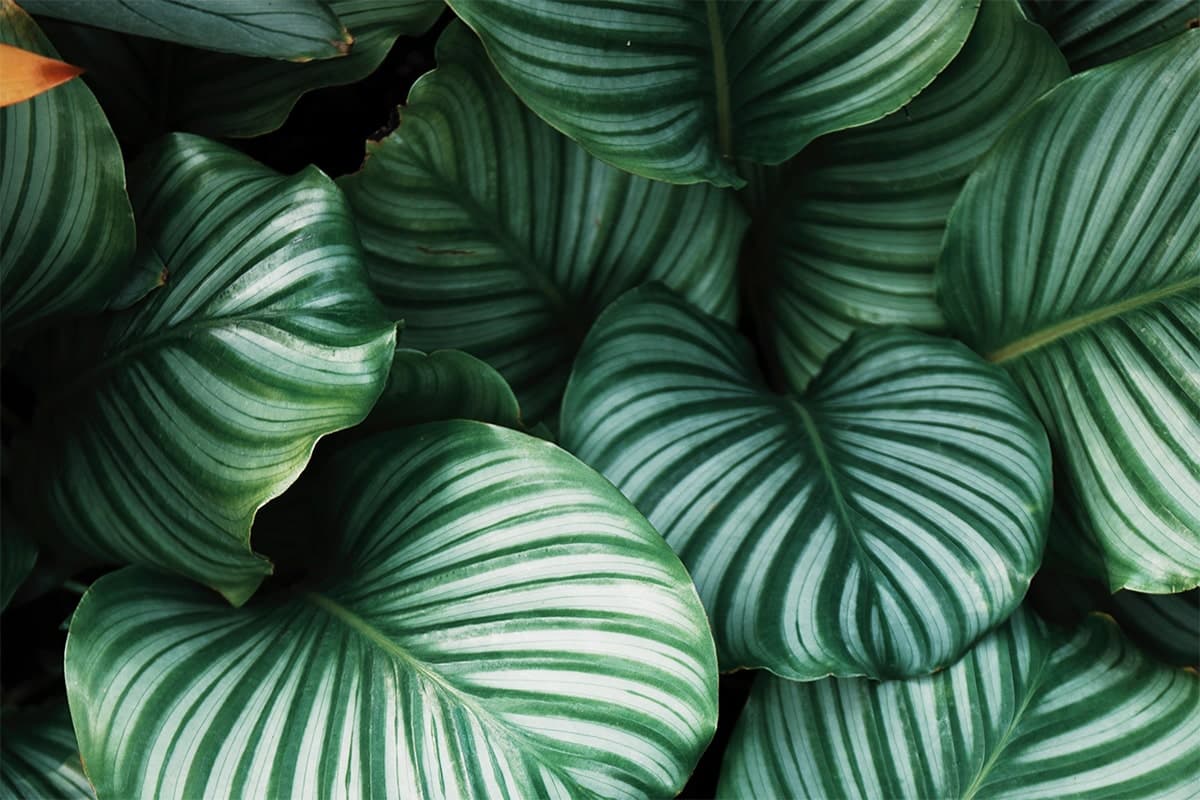 Fade carousel slide 1